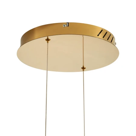 Lampa wisząca CIRCLE 80+80 LED złoty połysk na 1 podsufitce - DN924-80+80 gold - Step Into Design